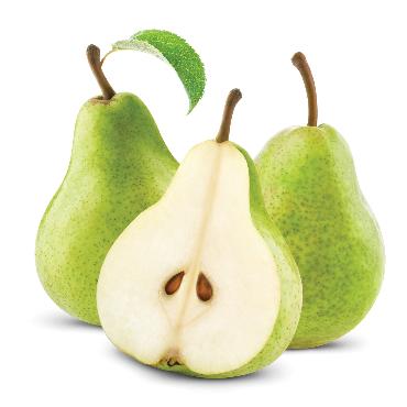 Hruška Conferencia ukladaná